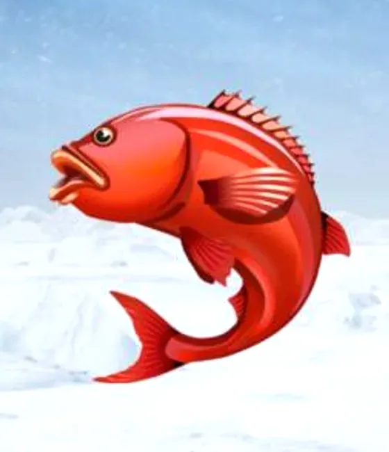 Ice Fishing